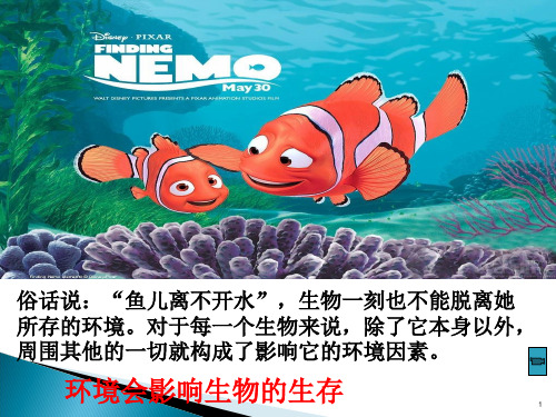 环境影响生物的生存ppt课件