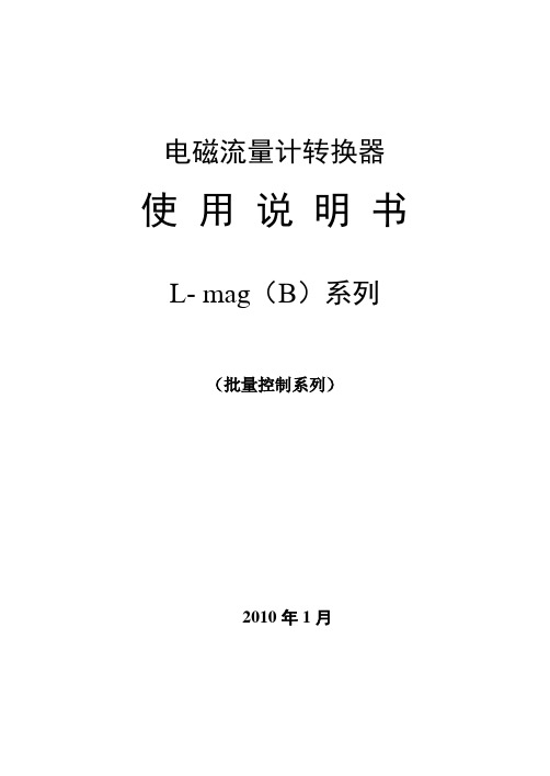 电磁流量转换器L magB系列中文PL