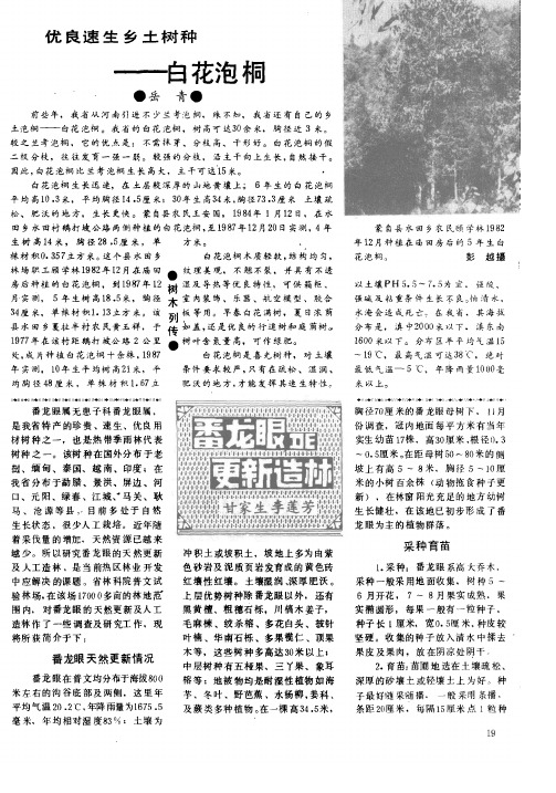 优良速生乡土树种——白花泡桐