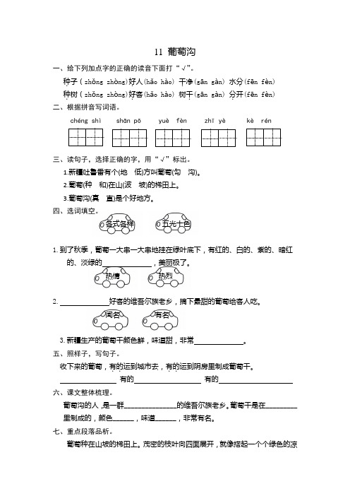 人教版(部编本)语文二年级上册11 葡萄沟 课时练习(含答案)