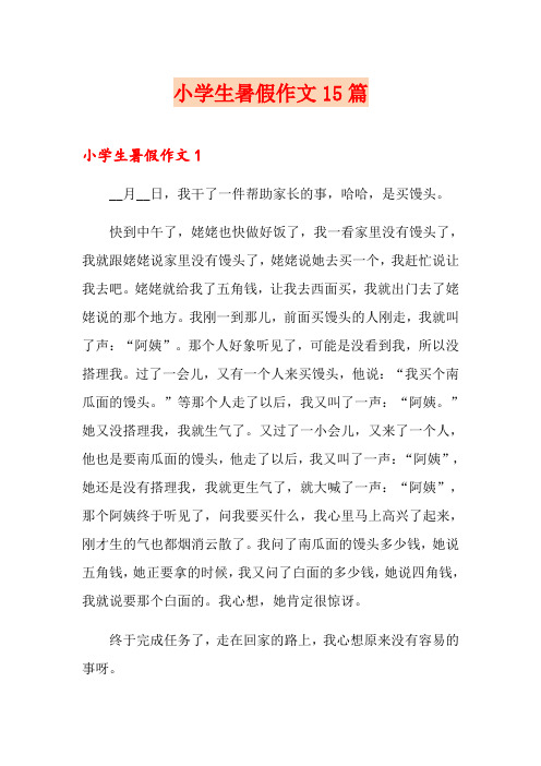 小学生暑假作文15篇