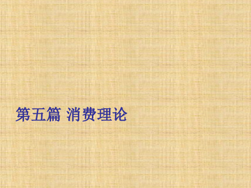 第五篇 消费理论  《现代政治经济学》PPT课件