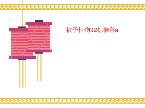 被子植物讲义32棕榈科a