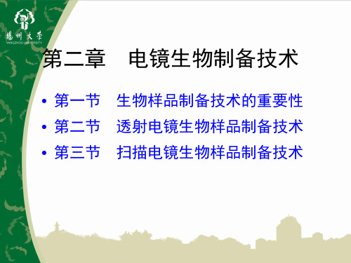透射电镜生物制样技术