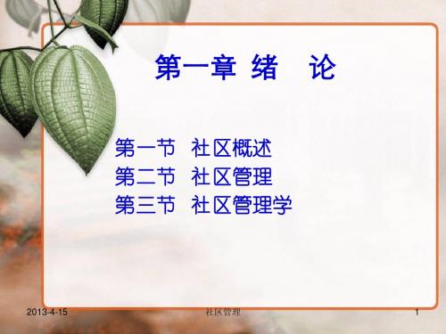 第一讲 社区管理绪论