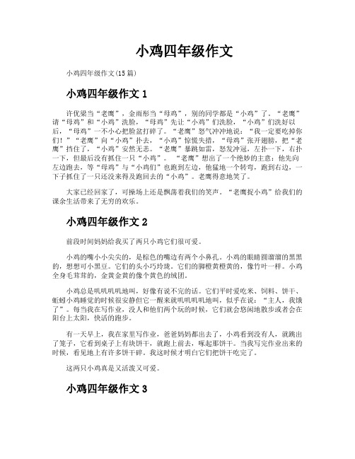 小鸡四年级作文
