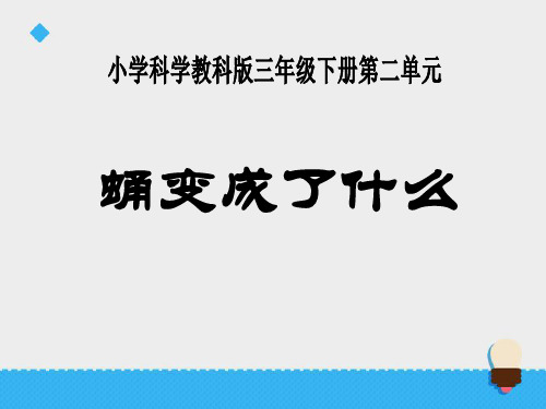 《蛹变成了什么》动物的生命周期PPT课件二