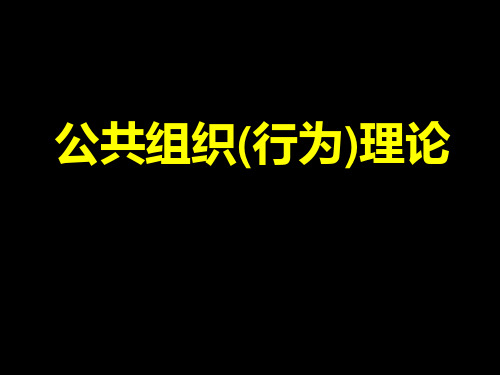 公共组织理论(1).
