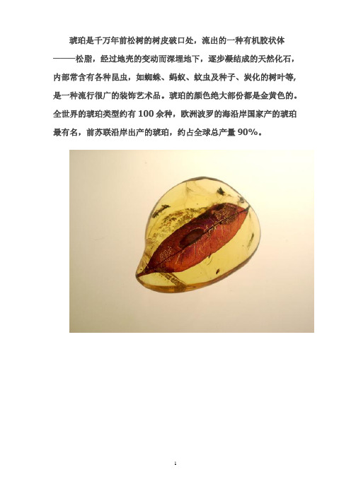 琥珀介绍