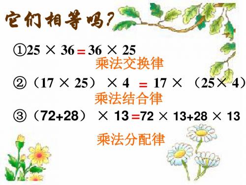 整数乘法运算定律推广到分数ppt[
