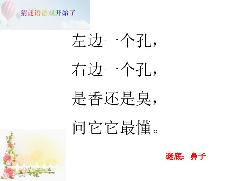 13 动物的鼻子