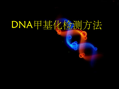 DNA甲基化检测方法ppt课件