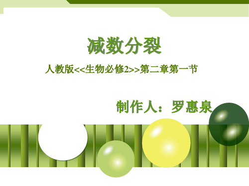 减数分裂模拟实验微课件