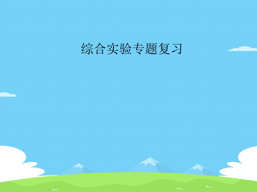 山东省青岛市人教版物理中考复习之综合实验专题复习优秀课件PPT
