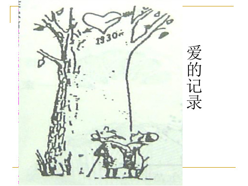 2018届高三生物一轮复习课件细胞的增殖 课件