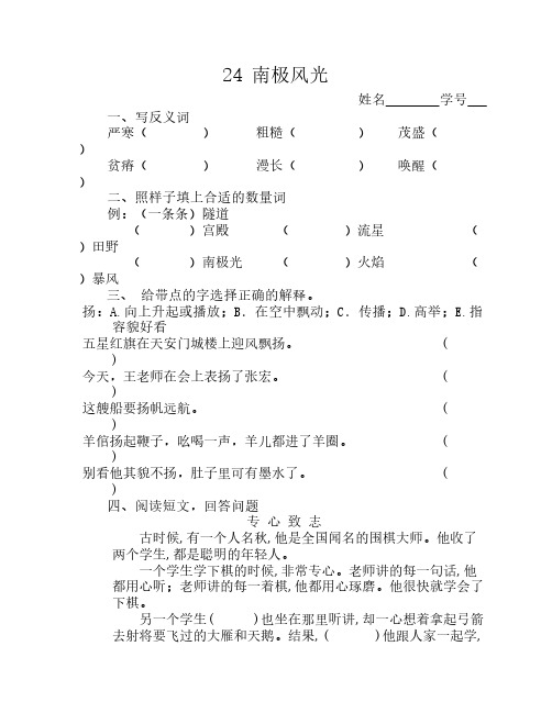 24南极风光