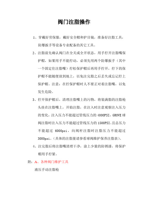 阀门注脂操作