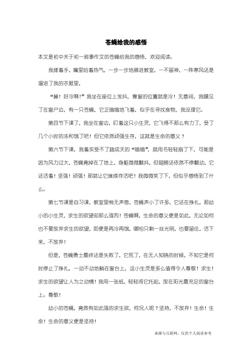 初一叙事作文：苍蝇给我的感悟