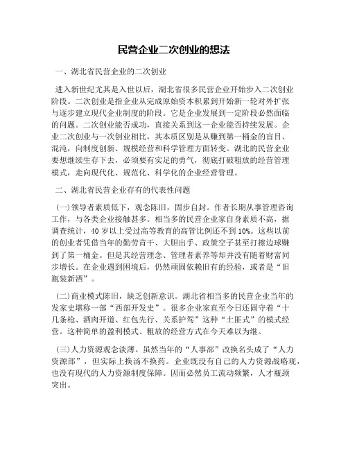 民营企业二次创业的想法