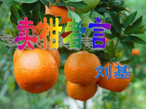 卖柑者言ppt