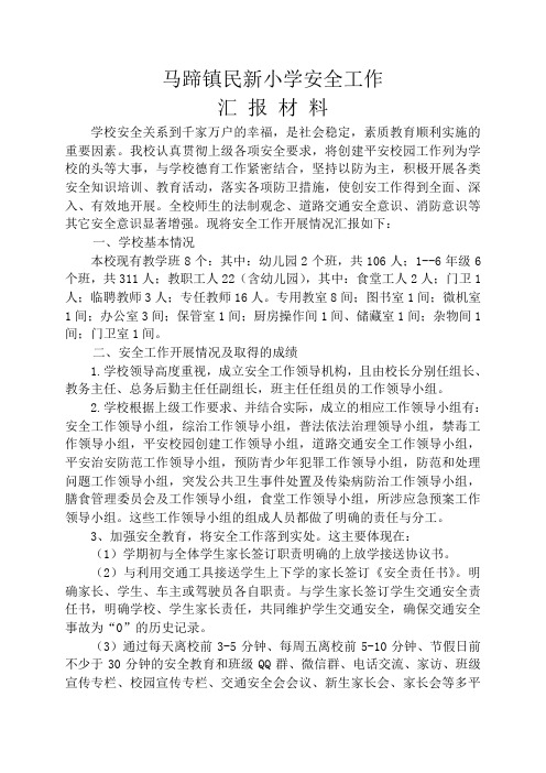 民新小学安全工作汇报材料