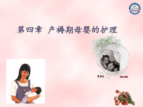 第四章--产褥期母婴护理PPT课件