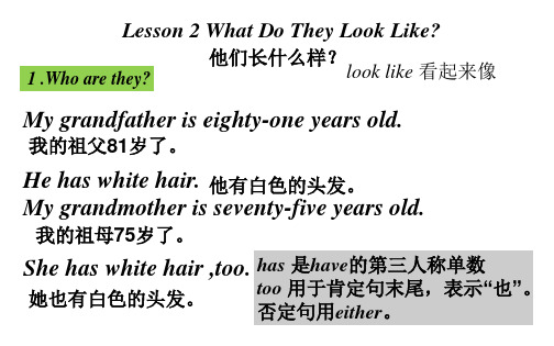 冀教版五年级上册英语Lesson2 What Do They Look Like？
