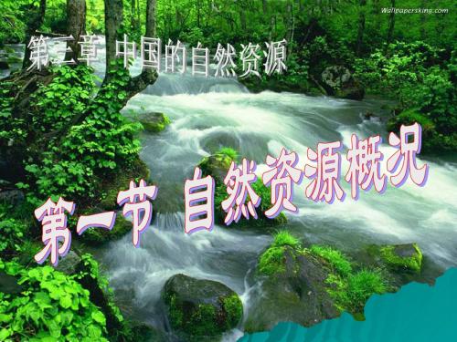 3.1自然资源概况课件(湘教版八年级上) (共38张PPT)