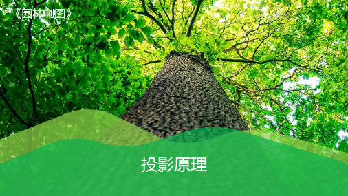 园林制图教程-投影原理