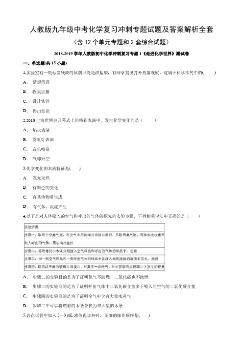 人教版九年级中考化学复习冲刺专题试题及答案解析全套