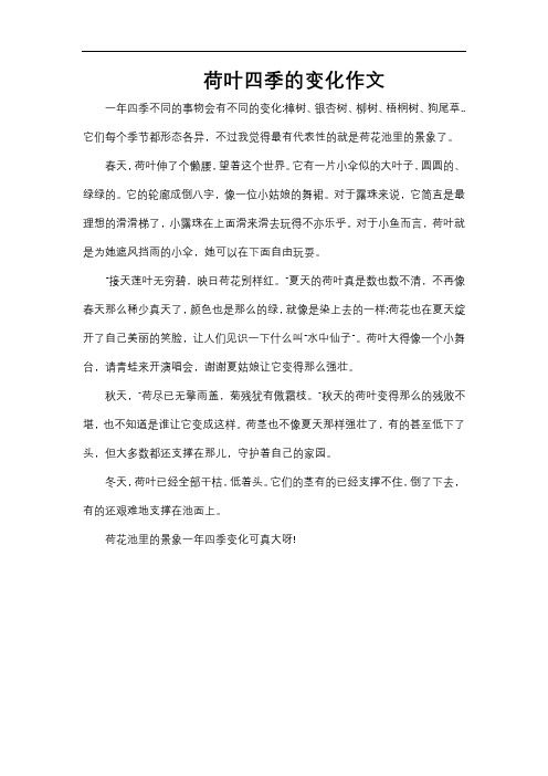 荷叶四季的变化作文