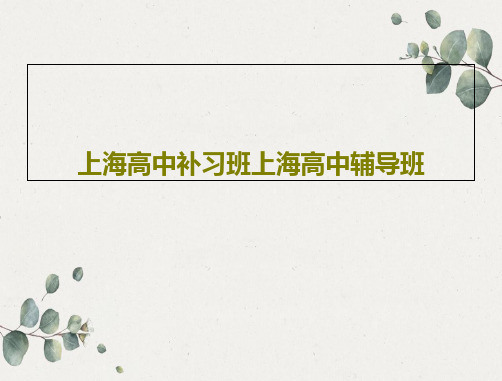上海高中补习班上海高中辅导班45页PPT