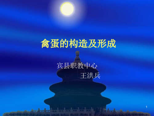 蛋的形成和构造PPT课件