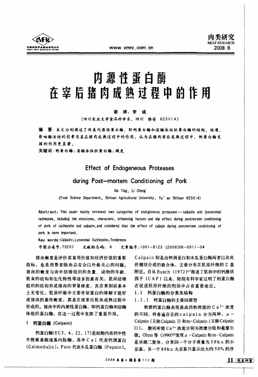 内源性蛋白酶在宰后猪肉成熟过程中的作用