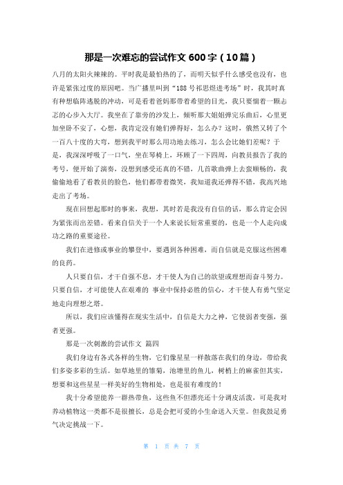 那是一次难忘的尝试作文600字(10篇)