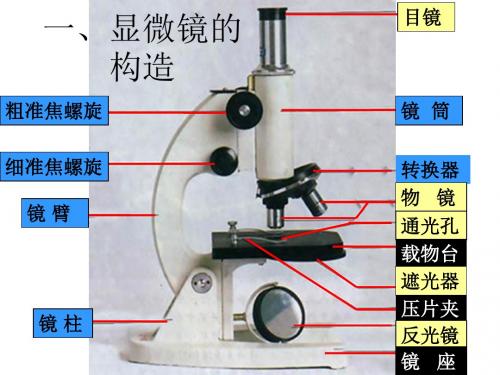 一、显微镜复习
