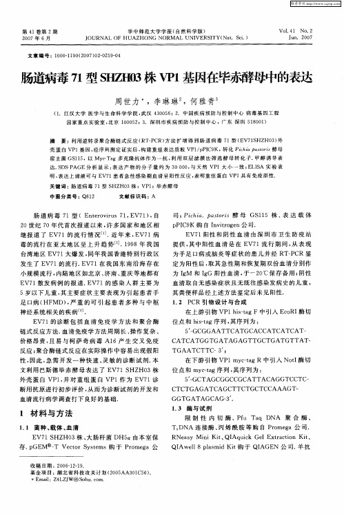 肠道病毒71型SHZH03株VP1基因在毕赤酵母中的表达