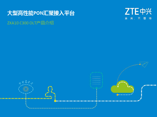 ZXA10 C300产品介绍