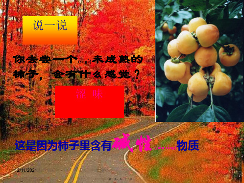 九年级化学下册第十单元课题1常见的酸和碱碱
