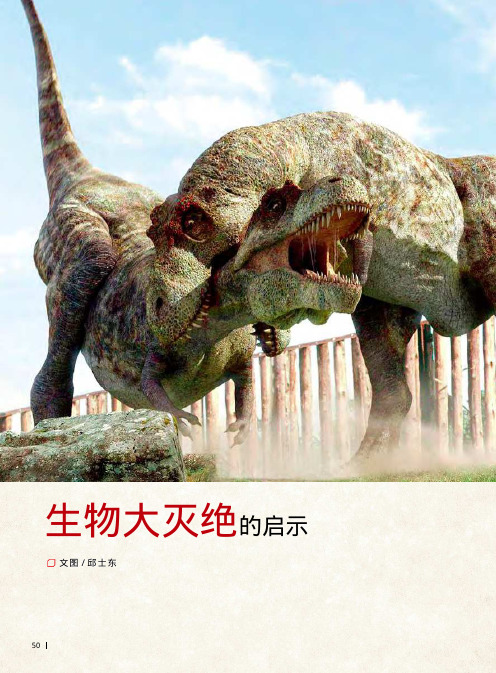 生物大灭绝的启示