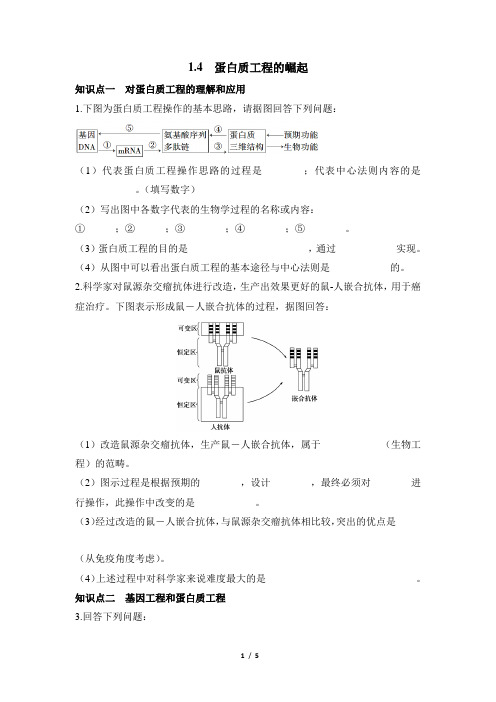 高三生物选修3_现代生物科技专题_《蛋白质工程的崛起》名师推荐