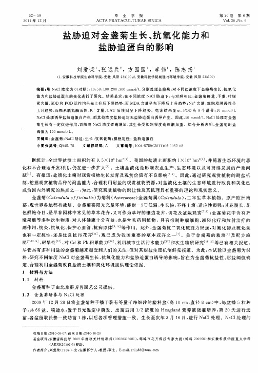 盐胁迫对金盏菊生长、抗氧化能力和盐胁迫蛋白的影响
