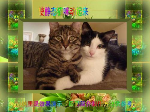 [技巧探索]使静态猫咪动起来,免费,有效果演示和制作方法简介,与喜爱的朋友交流分享。