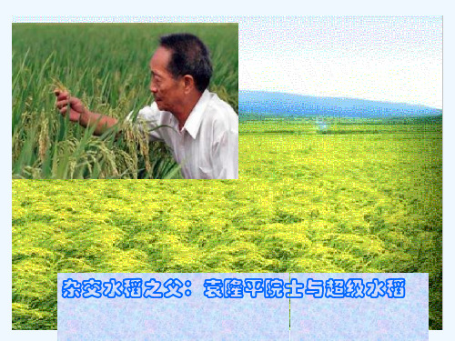 生物：第章《从杂交育种到基因工程》课件(新人教版必修)