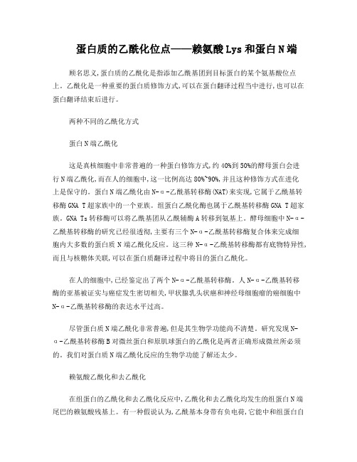 组蛋白乙酰化
