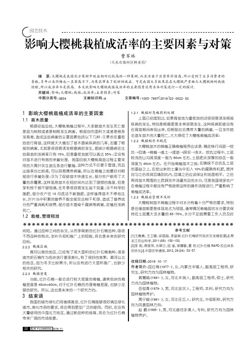 影响大樱桃栽植成活率的主要因素与对策