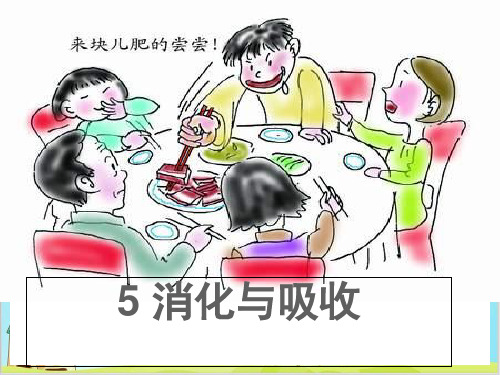 六年级下册科学-《5消化与吸收》冀人版PPT(15张)