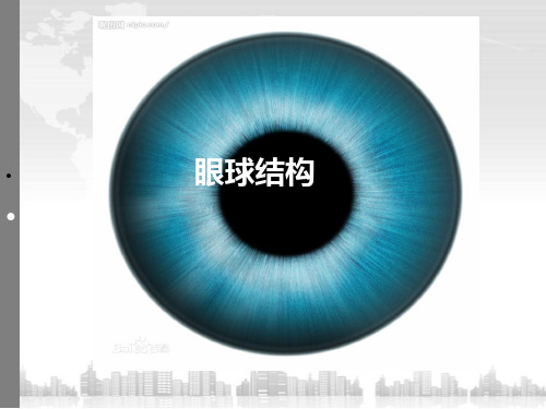 《眼球结构》ppt课件