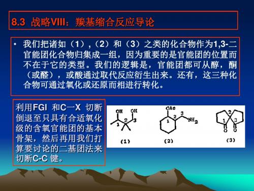 战略VIII：羰基缩合反应导论资料
