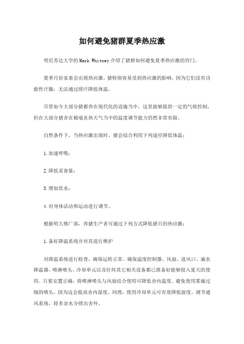 如何避免猪群夏季热应激